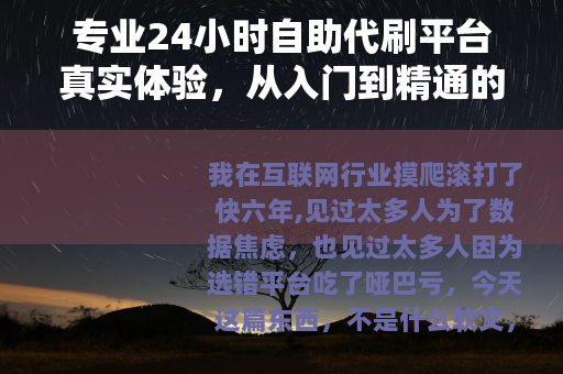 专业24小时自助代刷平台真实体验，从入门到精通的完整使用指南