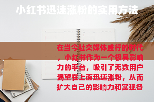 小红书迅速涨粉的实用方法