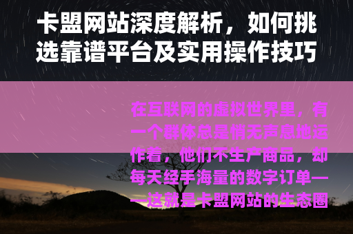 卡盟网站深度解析，如何挑选靠谱平台及实用操作技巧（新手必读）
