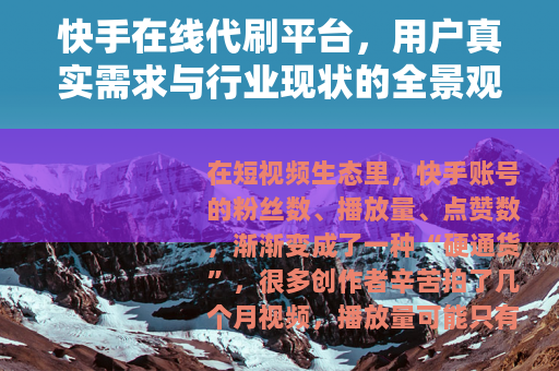 快手在线代刷平台，用户真实需求与行业现状的全景观察