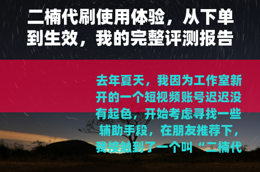 二楠代刷使用体验，从下单到生效，我的完整评测报告