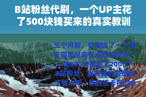 B站粉丝代刷,一个UP主花了500块钱买来的真实教训 B站粉丝代刷,一个UP主花了500块钱买来的真实教训