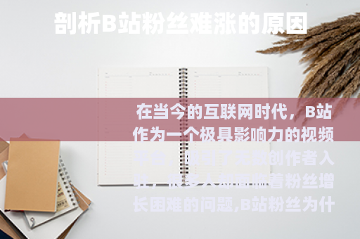 剖析B站粉丝难涨的原因