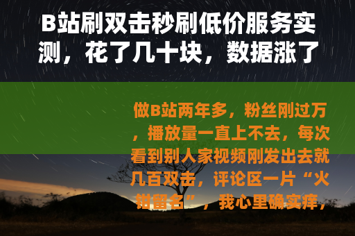 B站刷双击秒刷低价服务实测，花了几十块，数据涨了但账号差点废了