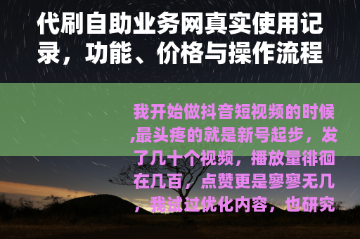代刷自助业务网真实使用记录，功能、价格与操作流程详解