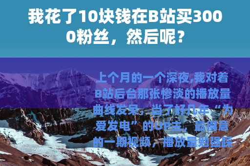 我花了10块钱在B站买3000粉丝，然后呢？
