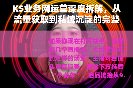 KS业务网运营深度拆解，从流量获取到私域沉淀的完整链路