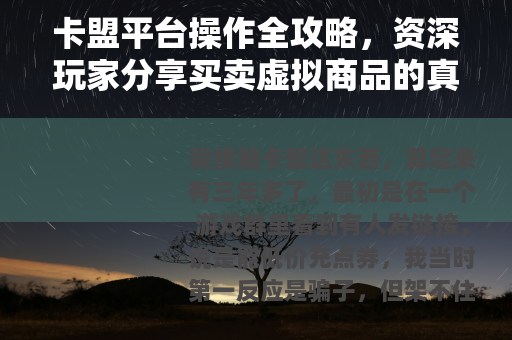 卡盟平台操作全攻略，资深玩家分享买卖虚拟商品的真实心得