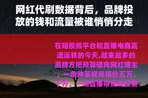 网红代刷数据背后，品牌投放的钱和流量被谁悄悄分走了