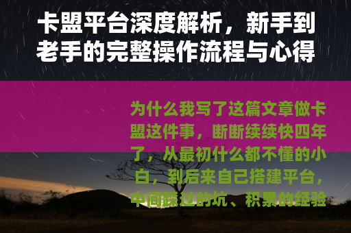 卡盟平台深度解析，新手到老手的完整操作流程与心得