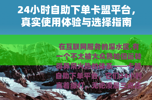 24小时自助下单卡盟平台，真实使用体验与选择指南