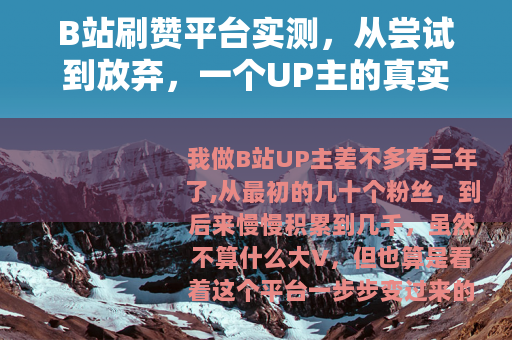 B站刷赞平台实测，从尝试到放弃，一个UP主的真实记录