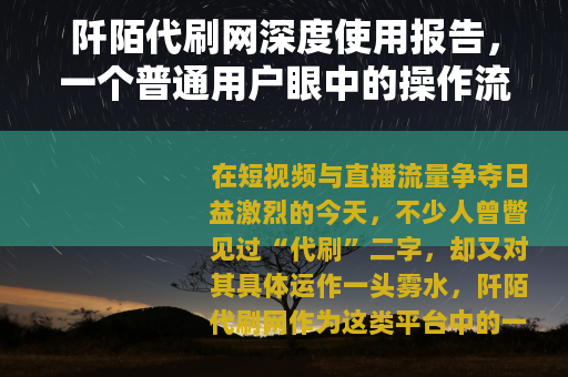 阡陌代刷网深度使用报告，一个普通用户眼中的操作流程与真实体验