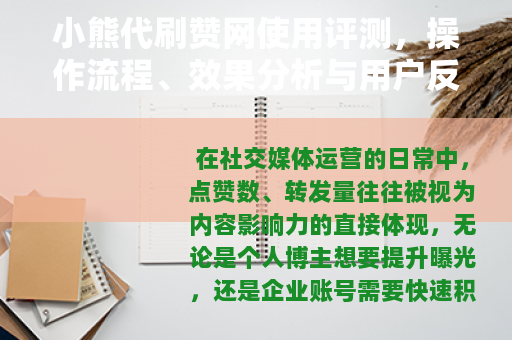小熊代刷赞网使用评测，操作流程、效果分析与用户反馈全记录