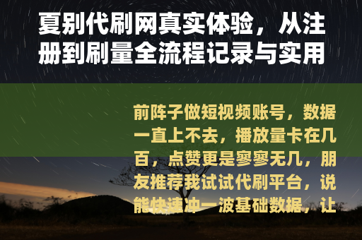 夏别代刷网真实体验，从注册到刷量全流程记录与实用建议