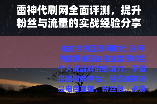 雷神代刷网全面评测，提升粉丝与流量的实战经验分享