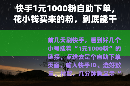 快手1元1000粉自助下单，花小钱买来的粉，到底能干啥？