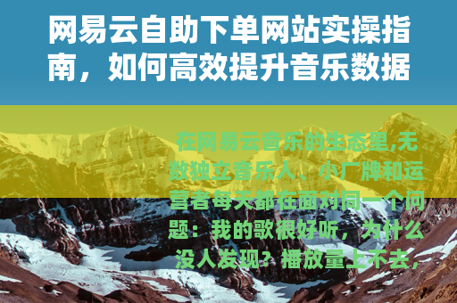 网易云自助下单网站实操指南，如何高效提升音乐数据