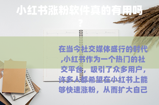 小红书涨粉软件真的有用吗？