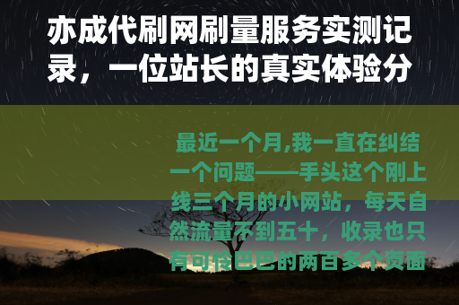 亦成代刷网刷量服务实测记录，一位站长的真实体验分享