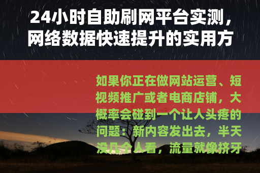 24小时自助刷网平台实测，网络数据快速提升的实用方法与效果分析