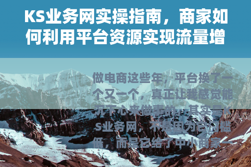KS业务网实操指南，商家如何利用平台资源实现流量增长