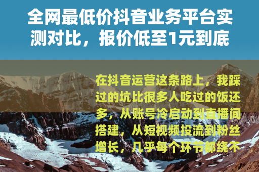 全网最低价抖音业务平台实测对比，报价低至1元到底值不值得选
