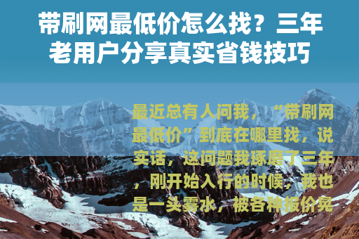 带刷网最低价怎么找？三年老用户分享真实省钱技巧