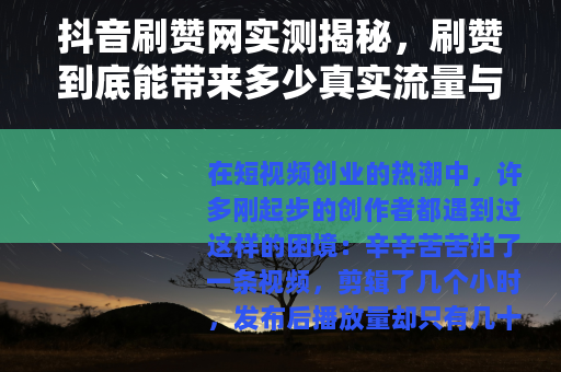 抖音刷赞网实测揭秘，刷赞到底能带来多少真实流量与粉丝？
