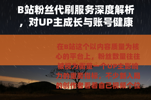B站粉丝代刷服务深度解析，对UP主成长与账号健康的真实影响
