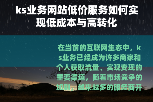 ks业务网站低价服务如何实现低成本与高转化