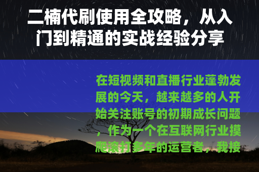 二楠代刷使用全攻略，从入门到精通的实战经验分享
