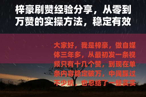 梓豪刷赞经验分享，从零到万赞的实操方法，稳定有效不翻车