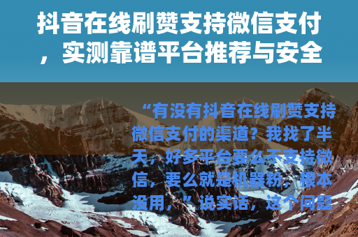抖音在线刷赞支持微信支付，实测靠谱平台推荐与安全使用全攻略