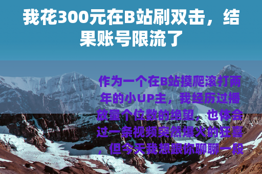 我花300元在B站刷双击，结果账号限流了