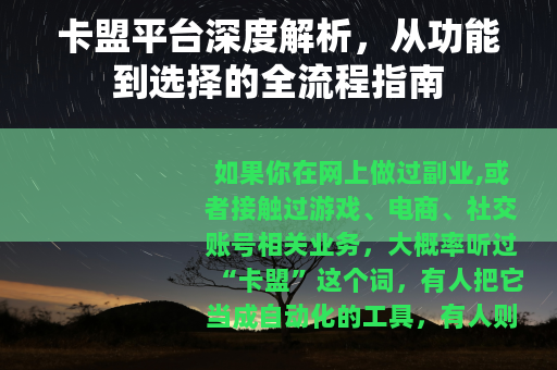 卡盟平台深度解析，从功能到选择的全流程指南
