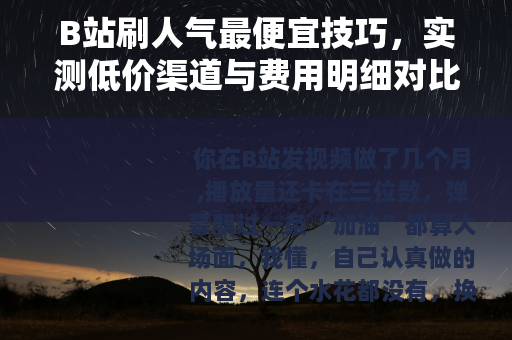 B站刷人气最便宜技巧，实测低价渠道与费用明细对比