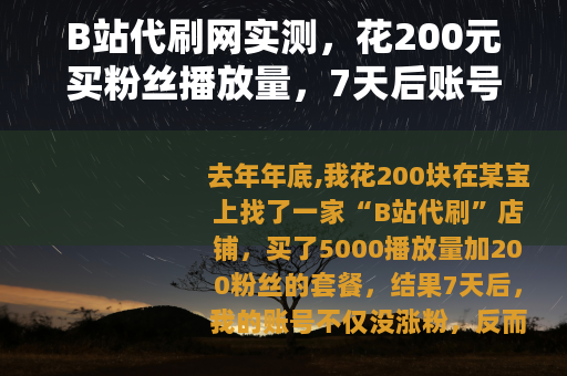 B站代刷网实测，花200元买粉丝播放量，7天后账号变成这样