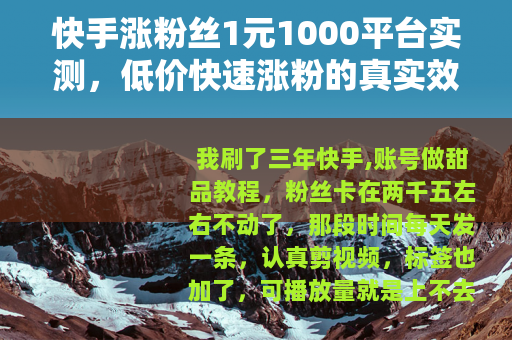快手涨粉丝1元1000平台实测，低价快速涨粉的真实效果与代价