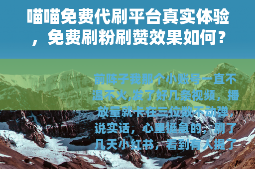 喵喵免费代刷平台真实体验，免费刷粉刷赞效果如何？23字）
