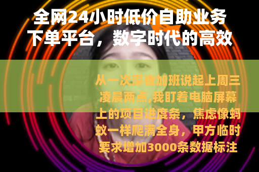 全网24小时低价自助业务下单平台，数字时代的高效生存法则