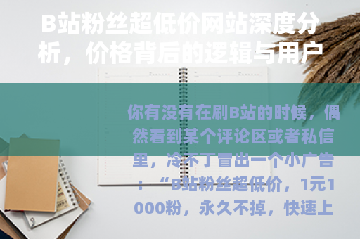 B站粉丝超低价网站深度分析，价格背后的逻辑与用户须知