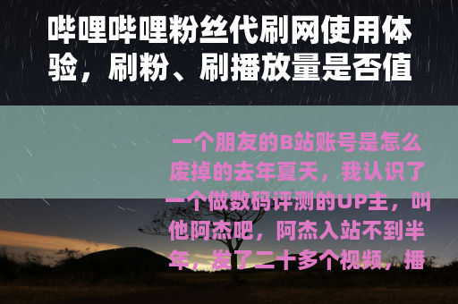 哔哩哔哩粉丝代刷网使用体验，刷粉、刷播放量是否值得？