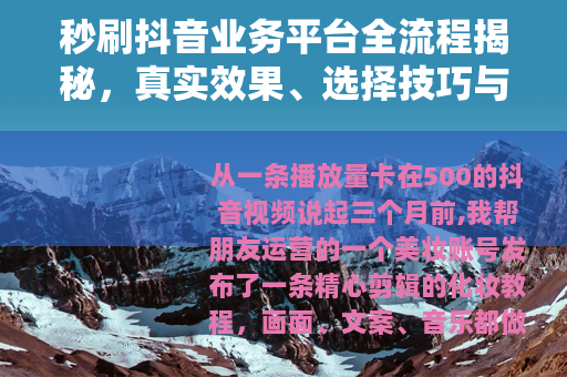 秒刷抖音业务平台全流程揭秘，真实效果、选择技巧与操作指南