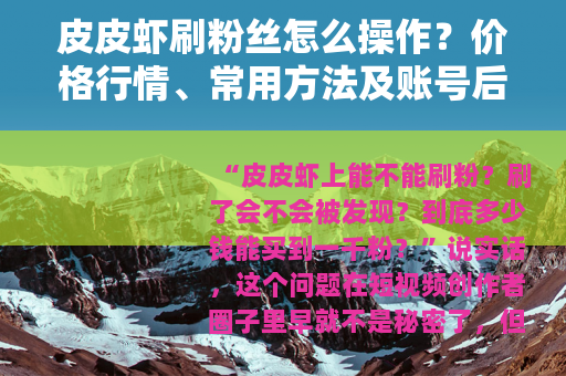 皮皮虾刷粉丝怎么操作？价格行情、常用方法及账号后续影响全解析