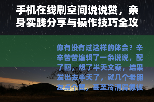 手机在线刷空间说说赞，亲身实践分享与操作技巧全攻略