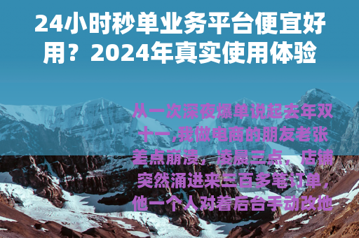 24小时秒单业务平台便宜好用？2024年真实使用体验与成本分析