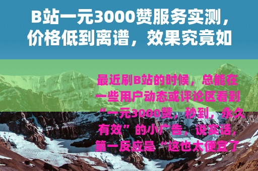 B站一元3000赞服务实测，价格低到离谱，效果究竟如何？