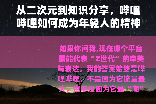 从二次元到知识分享，哔哩哔哩如何成为年轻人的精神自留地