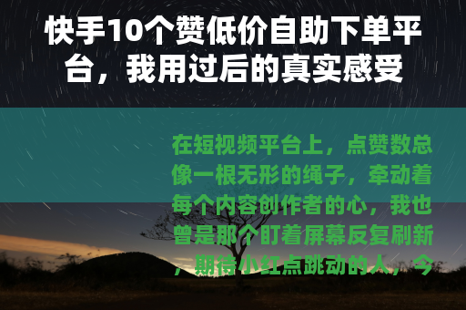 快手10个赞低价自助下单平台,我用过后的真实感受 快手10个赞低价自助下单平台,我用过后的真实感受